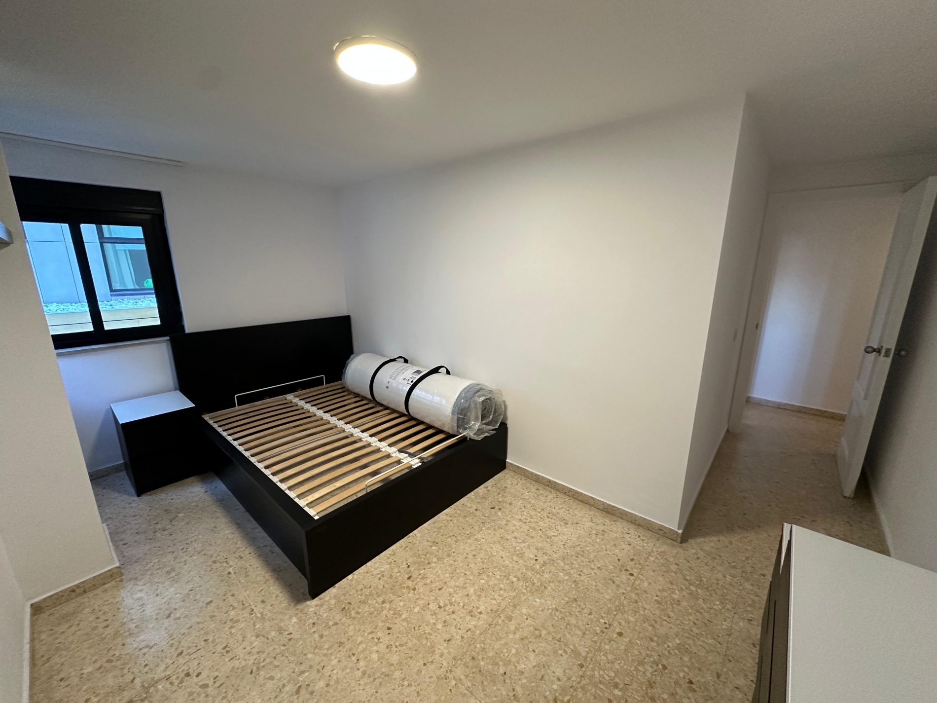 Devils Tower Road Image