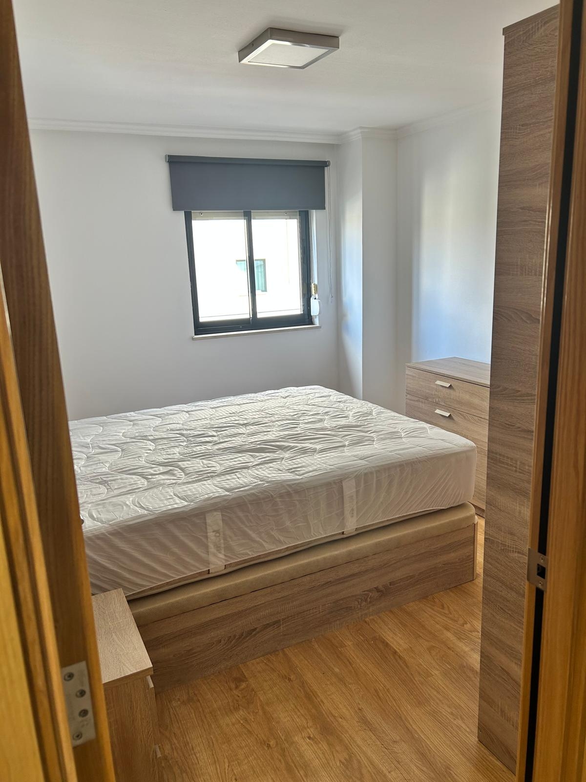 Devils Tower Road Image