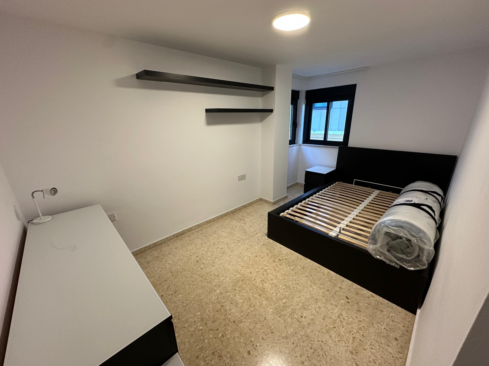 Devils Tower Road Image